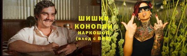 крисы Абинск
