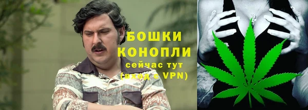 spice Абаза
