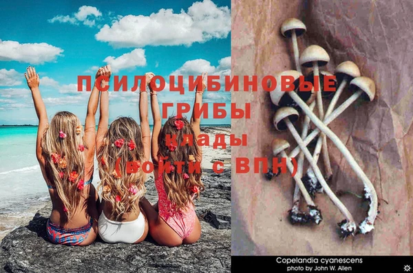 spice Абаза