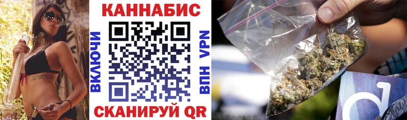 Конопля гибрид  продажа наркотиков  Домодедово 